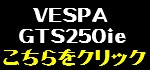 VESPA�@GTS250